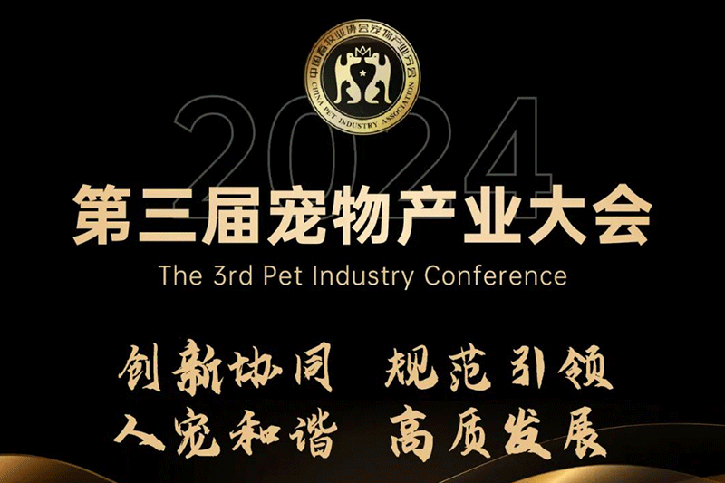 福貝寵食黃莉：時代變軌，用創新贏得市場，用洞察找到增長路徑