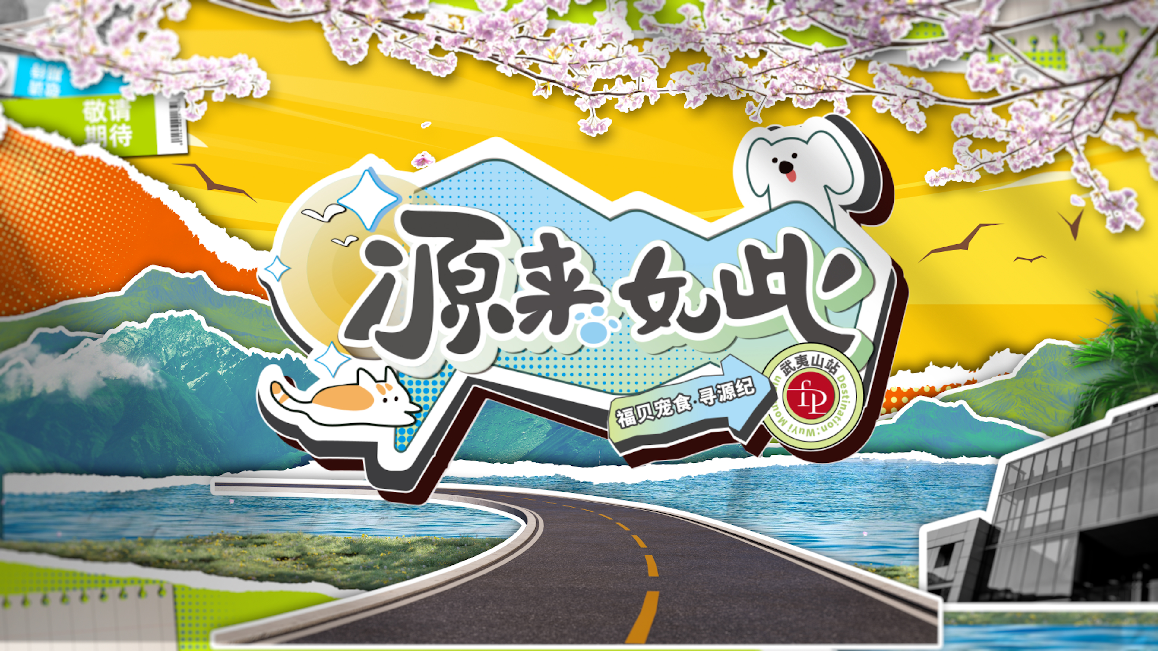 打破常規(guī)，用生動(dòng)的方式傳遞價(jià)值——福貝寵食《尋源紀(jì)》微綜藝正式上線